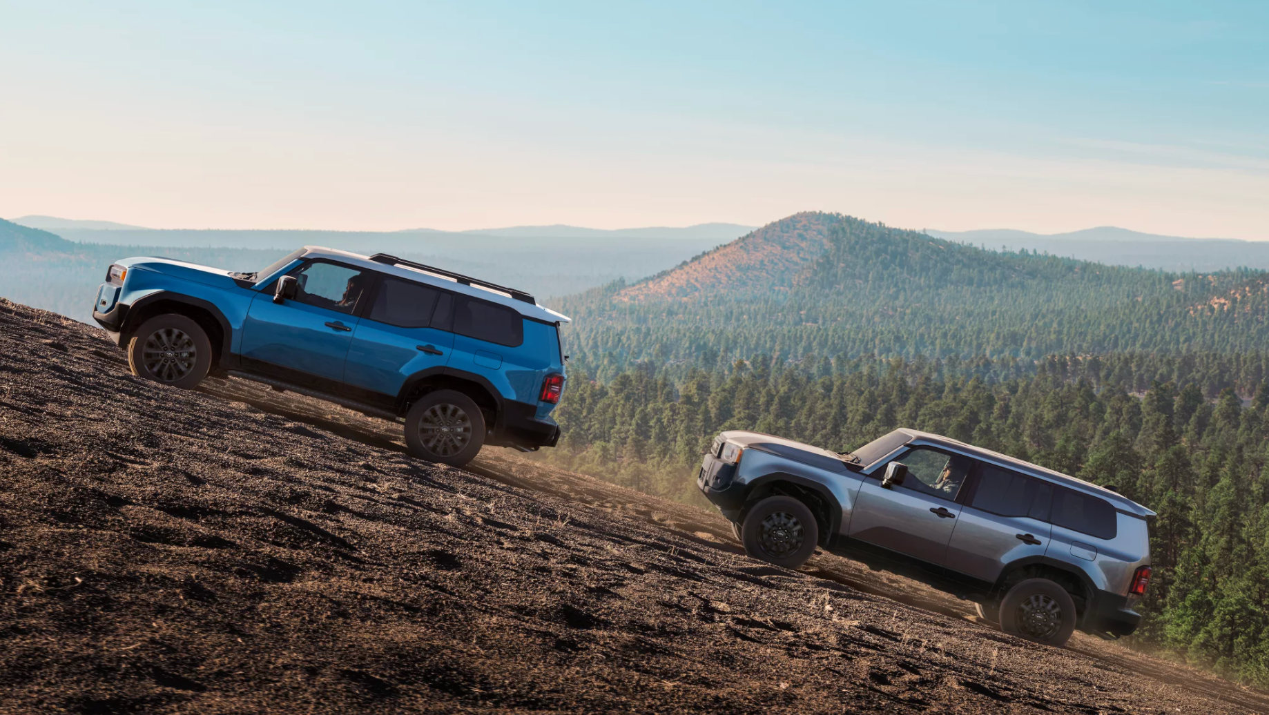 Best SUV of 2025