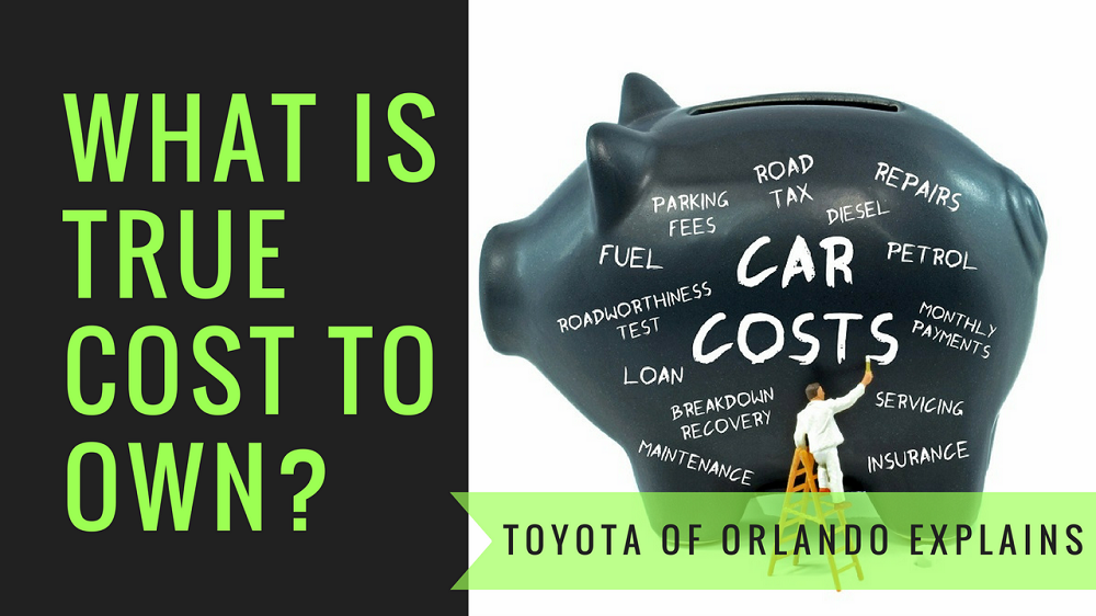 true cost to own