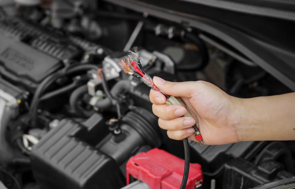how to get roaches out of a car