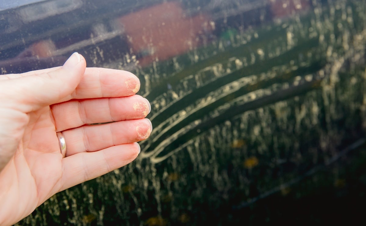 how to deal with pollen on cars