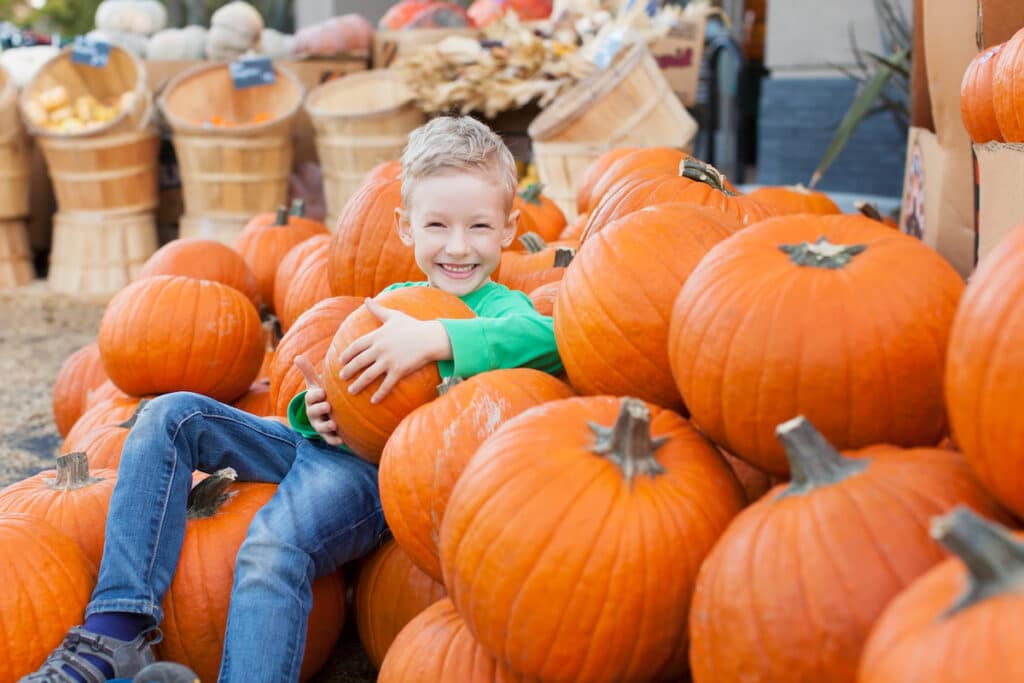 fall festival in Orlando FL