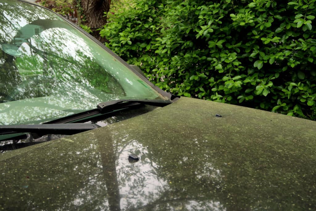 car care tips