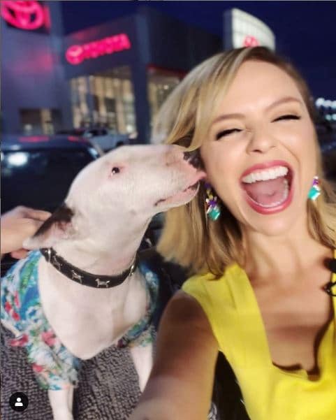 Toyota of Orlando dog