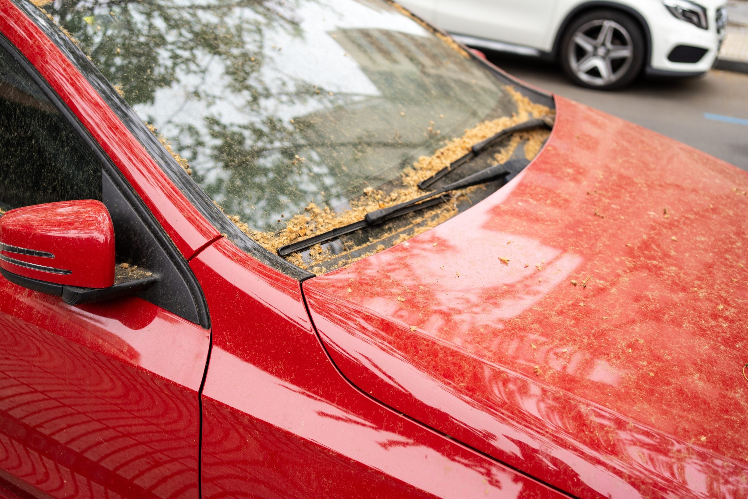 tips for pollen on cars