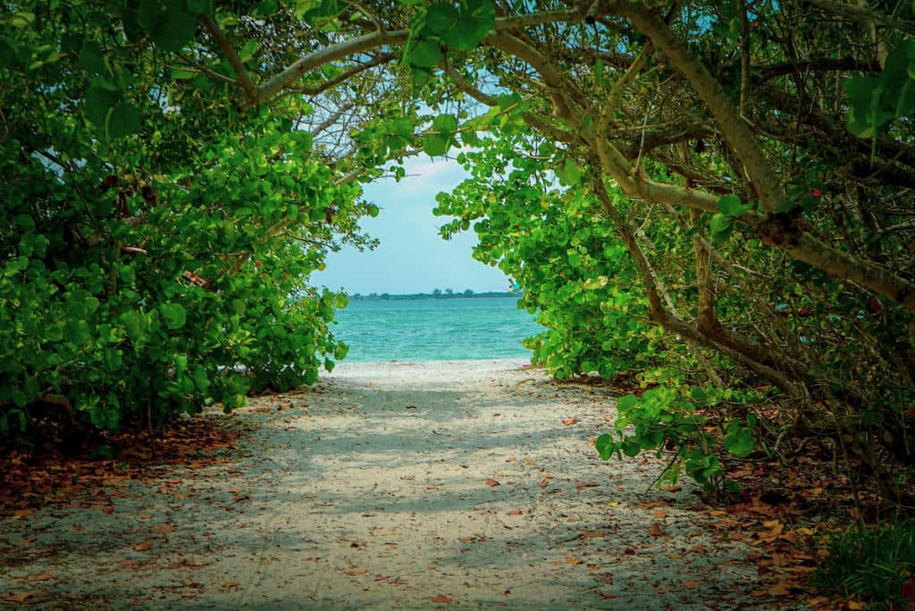 best Florida beaches to see 
