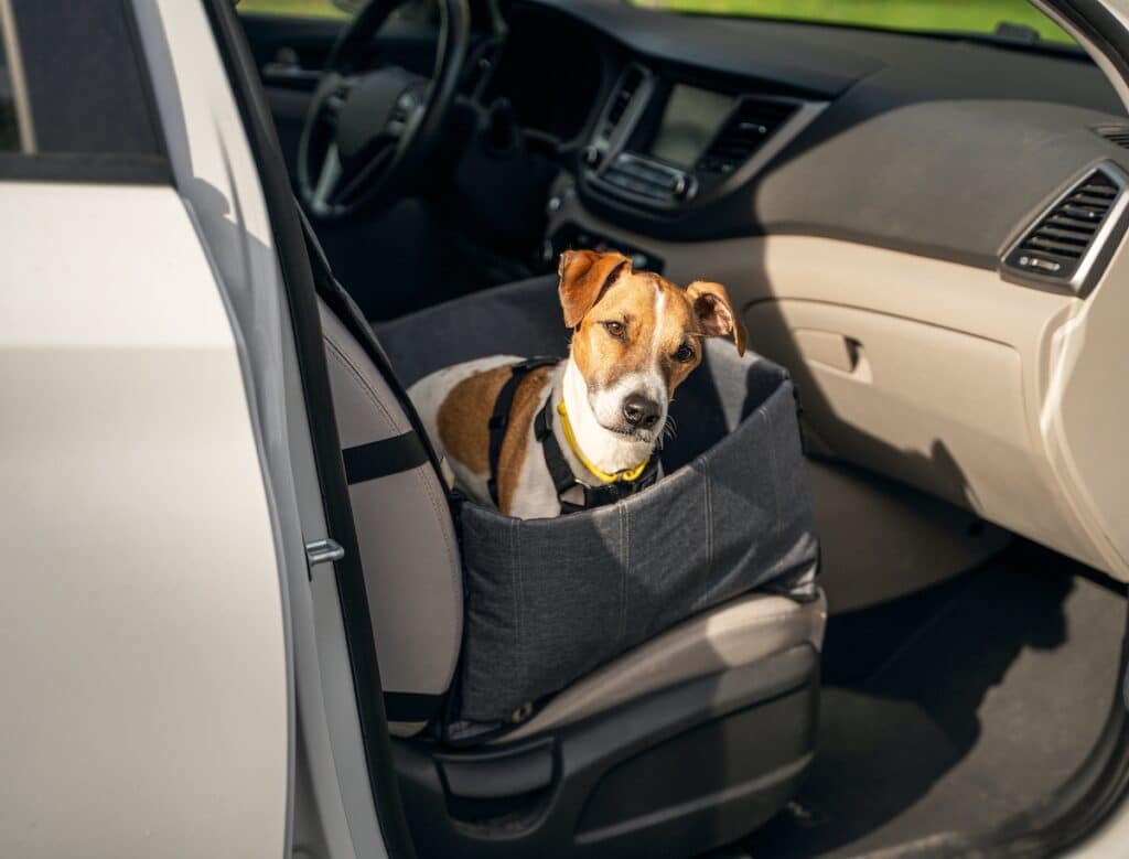 car road trip checklist