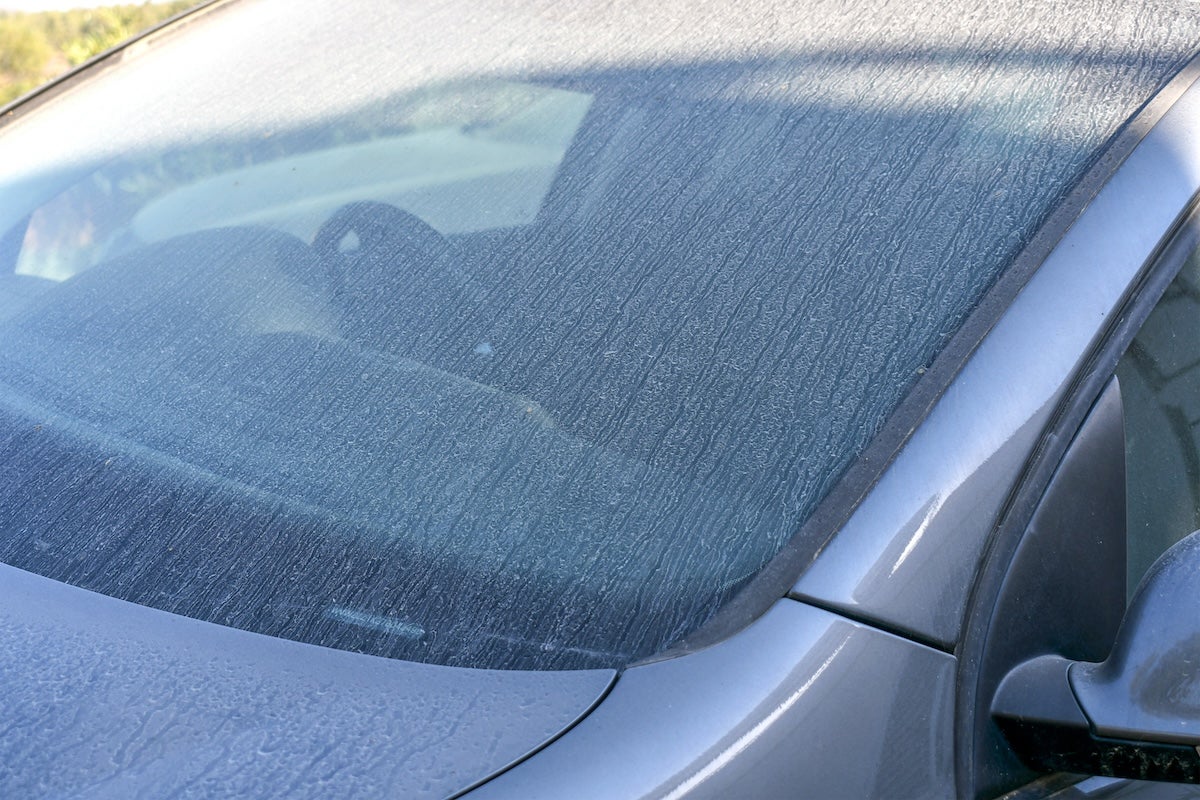 how to prevent car paint damage