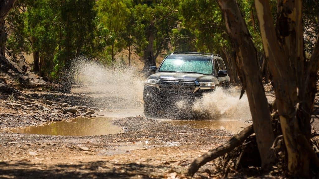 2019 Toyota