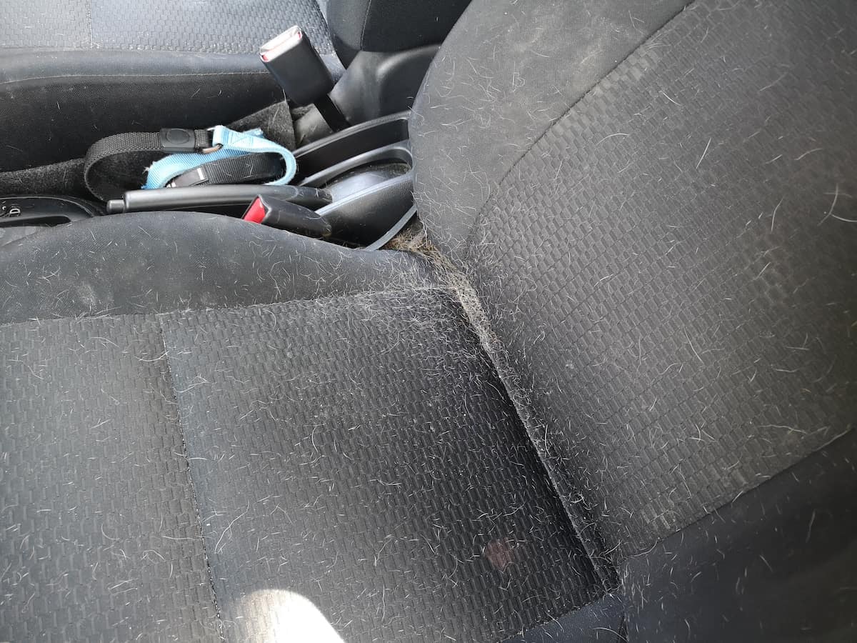 Toyota of Orlando Tips