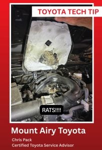 One of the first places rodents tend to show up is in the air filter box.