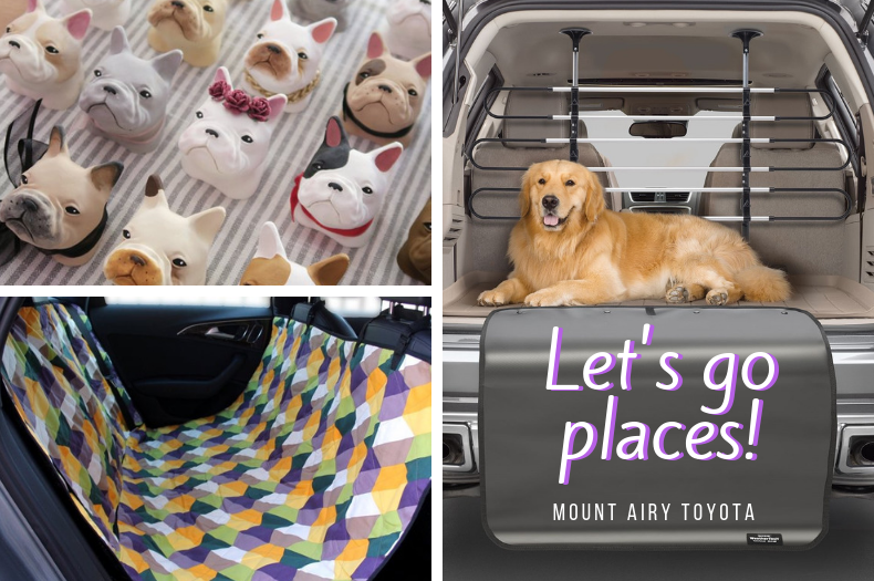 Let's go places! Best Travel Accessories for Your Dog and Cat