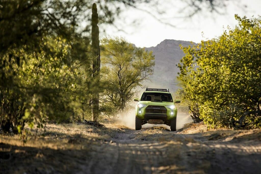 2024 Toyota 4Runner in Clermont, FL