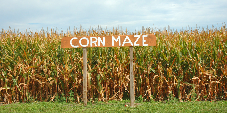 Corn Maze Near Orlando