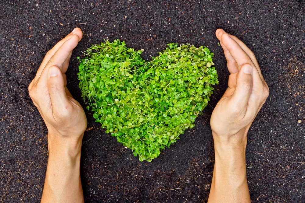 Go green with Toyota of Clermont.