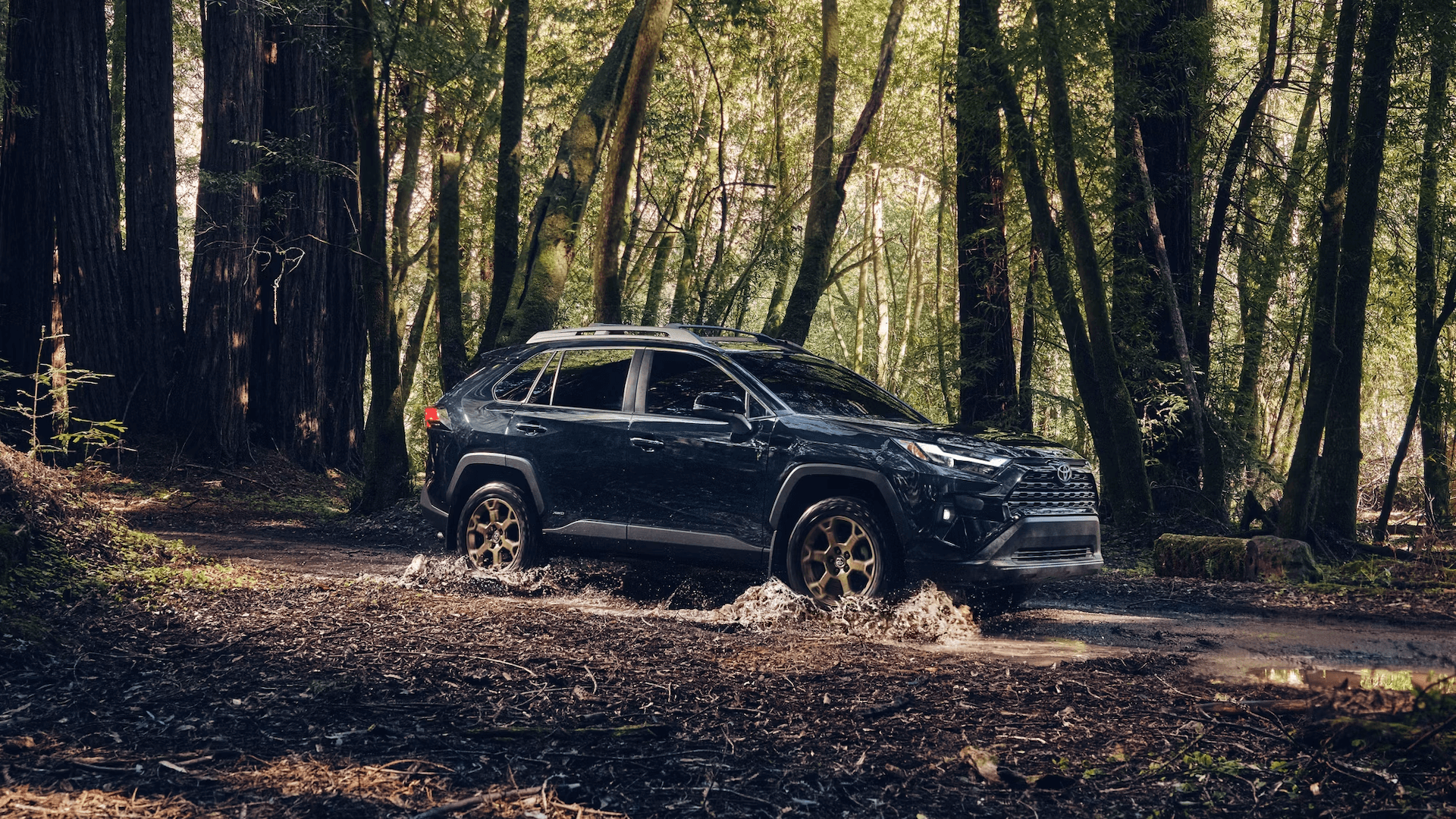 4wd system