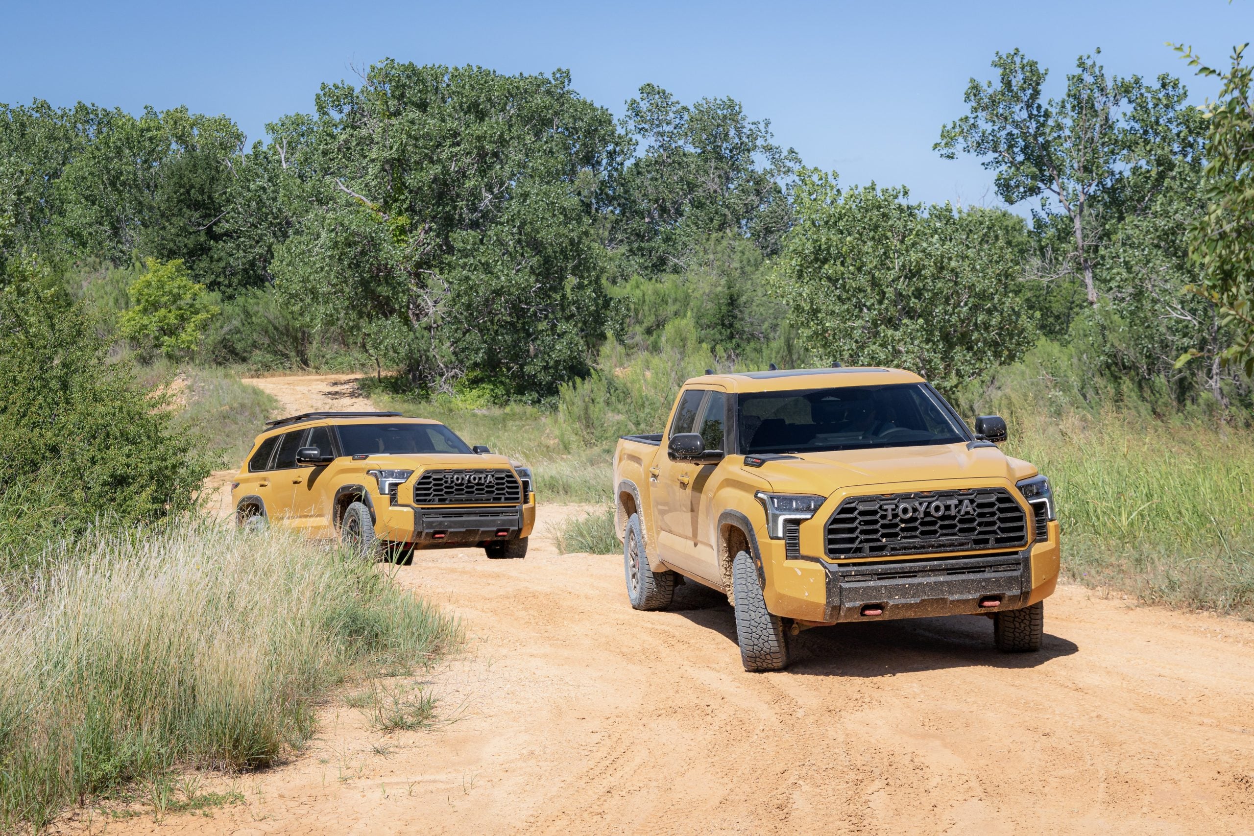 2027 Toyota Tundra and Toyota Sequoia in Honeycomb