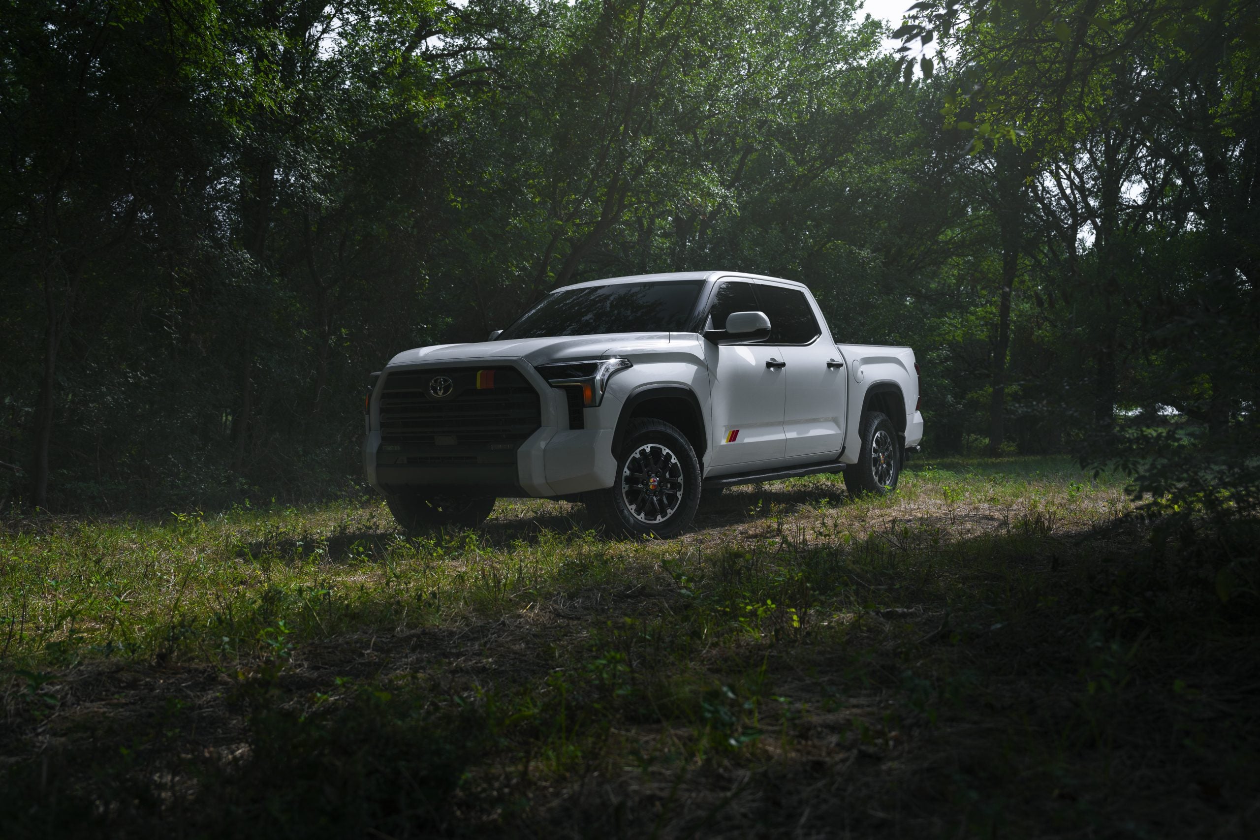 2026 Toyota Tundra white in forest