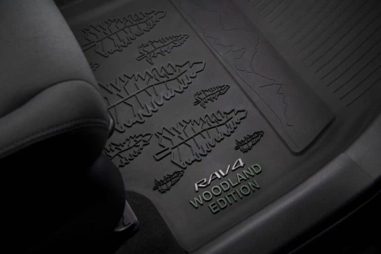 RAV 4 floor mats