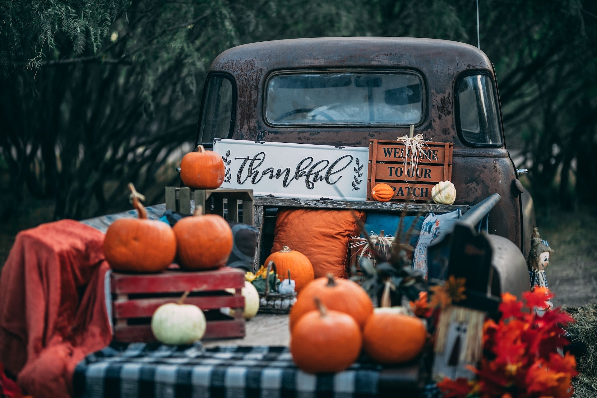 holiday-driving-safety-tips