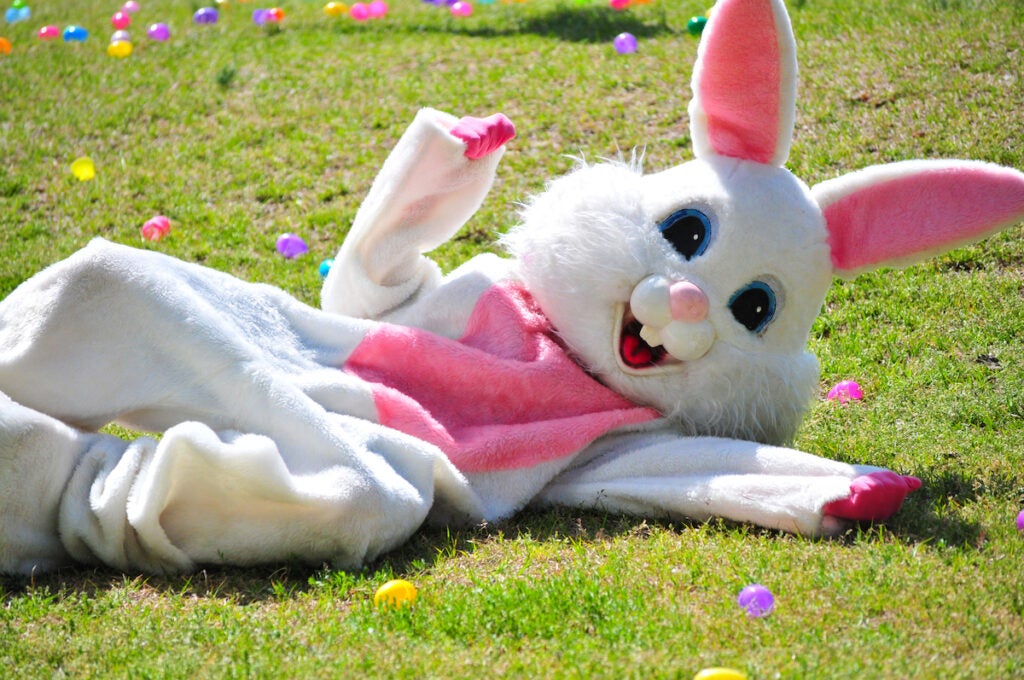 Easter bunny 2023 