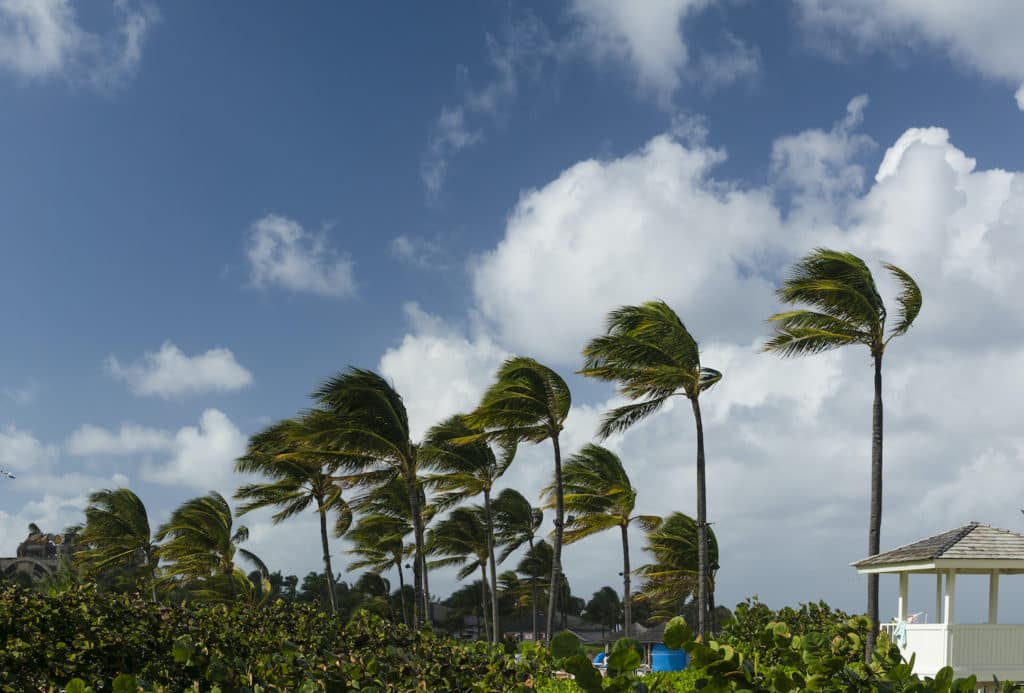 High winds tips from Toyota of Clermont