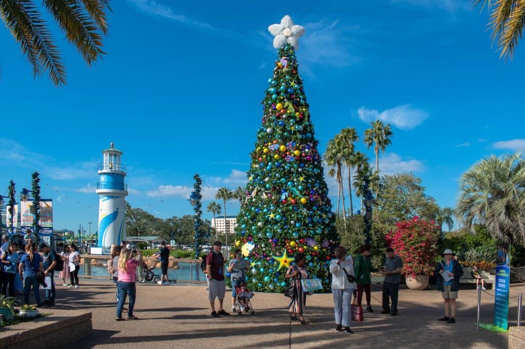 Christmas tree
