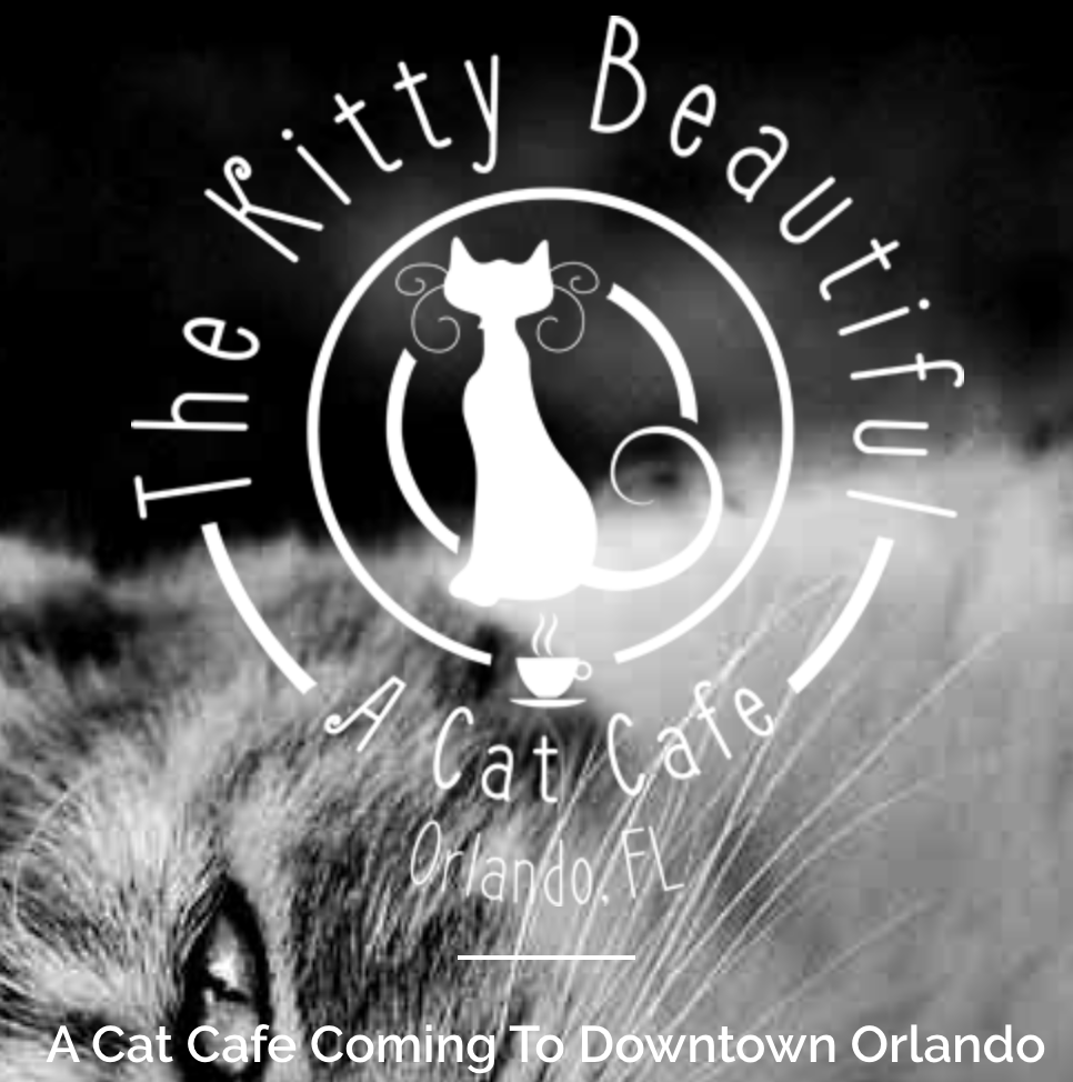 Clermont cat cafe