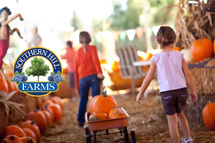 Southern Hill Farms Pumpkin Patch