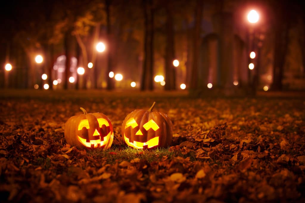Clermont fall activities
