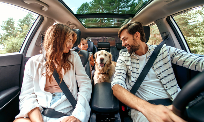 best toyotas for dogs