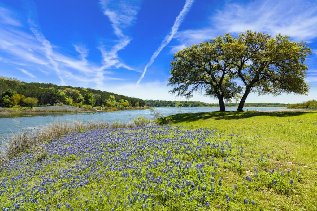 Texas road trips