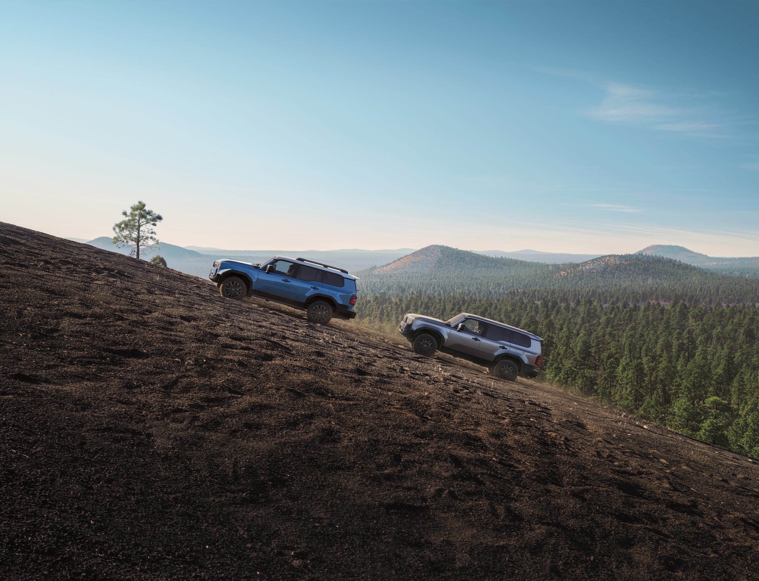 2025 Land Cruisers