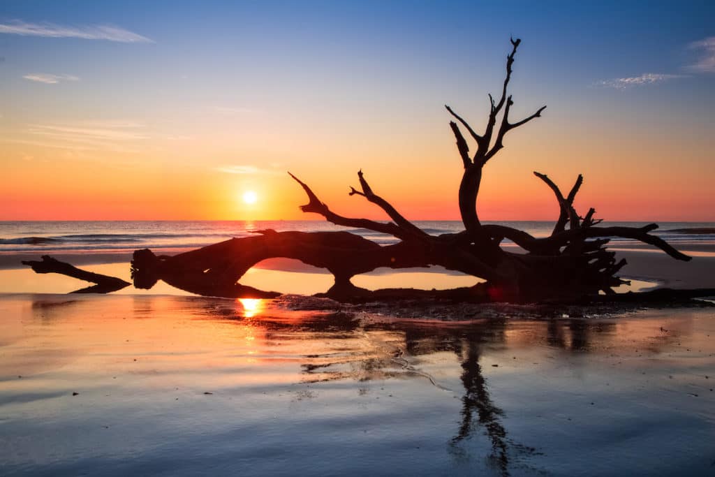 best beach trips 