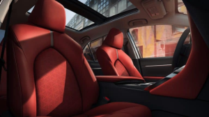 Trying To Decide between Softex and Leather Seats