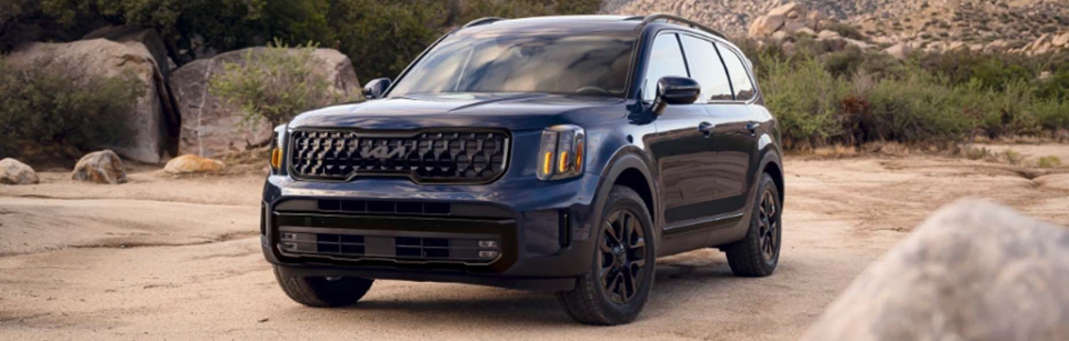 25 telluride