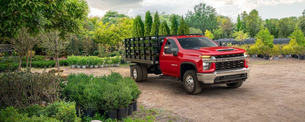 Red Chevy Silverado in greenery