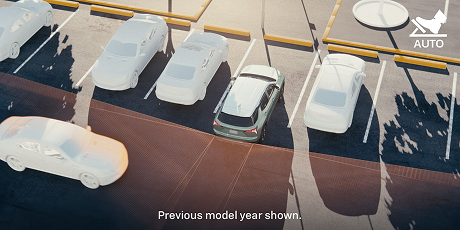 Rear Cross Traffic Braking