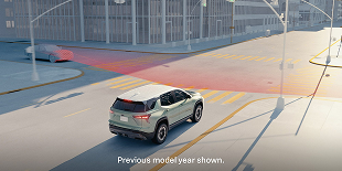 Front Pedestrian Braking