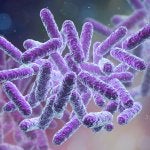 bacteria-150x150