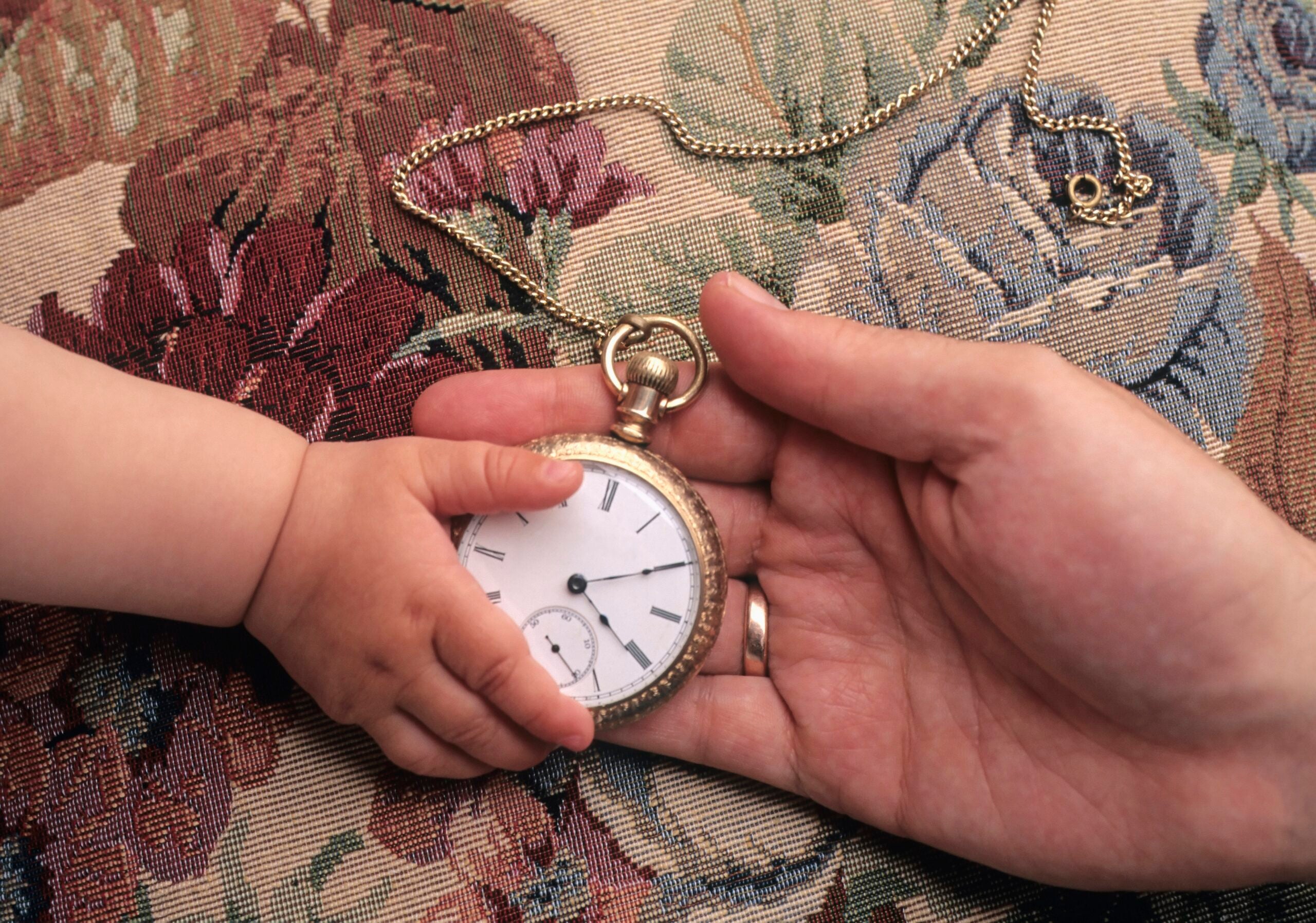 Tangible Personal Property