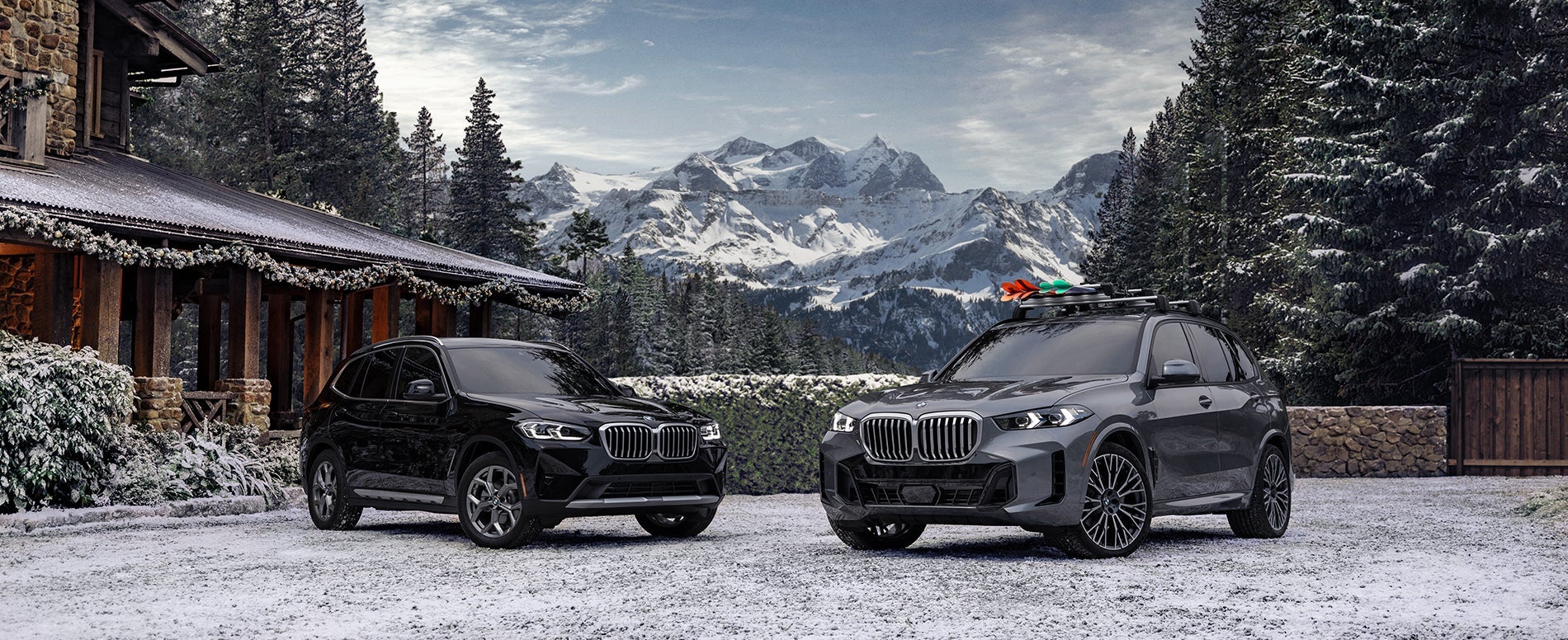 2 BMW's with a mountain background