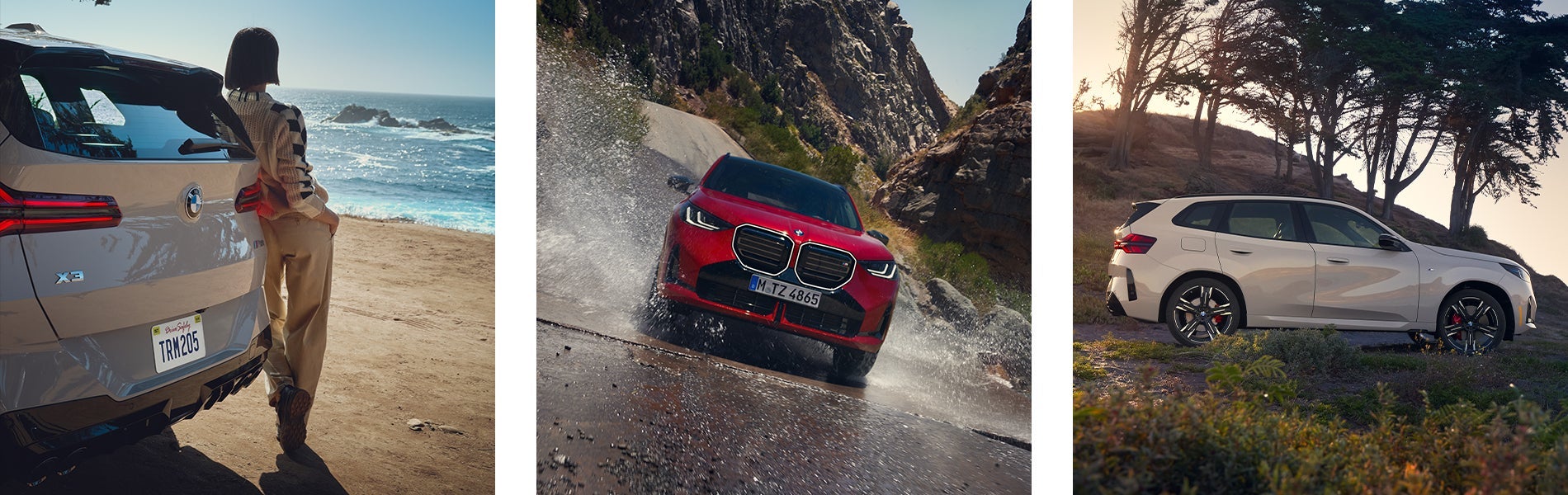 Collage of BMW X3's