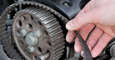 Timing Belt