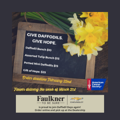 give daffodils. give hope. flower delivery week of march 21st. Faulkner chevrolet is proud to join daffodil days again! order online or pick up at the dealership. 
