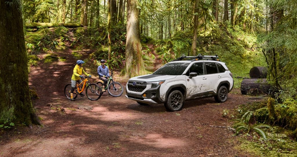 White Subaru Forester Wilderness in a forest with mountain bikers.