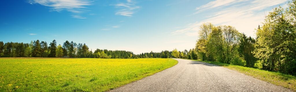 A winding gravel road through a sunny field with trees on either side