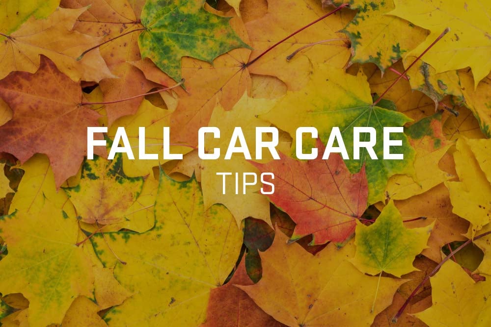 Fall car care
