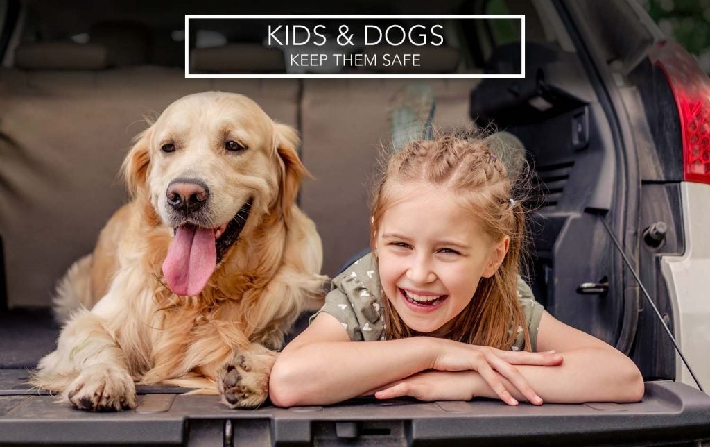 Kids &amp; Dogs: Summer Safety