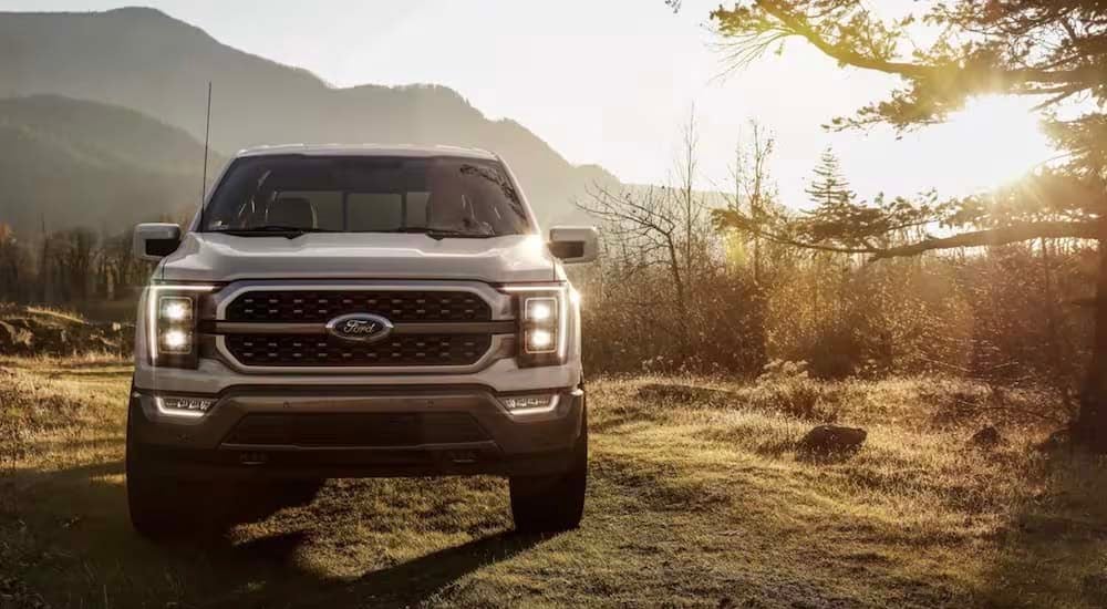 A silver 2022 Ford F-150 is shown from the front parked in a field.