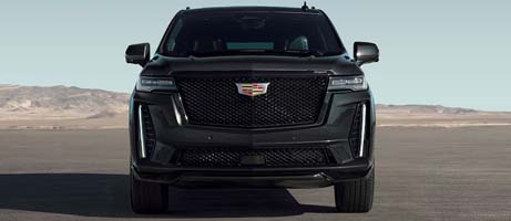 20th anniversary exclusives